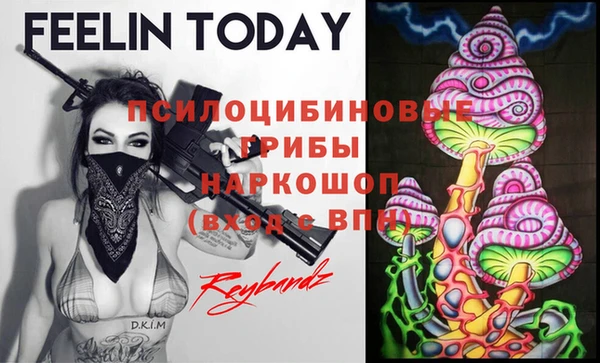 прущие крисы Богородицк