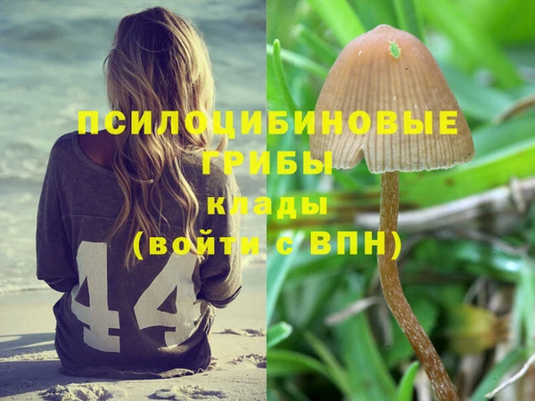альфа пвп Верхнеуральск