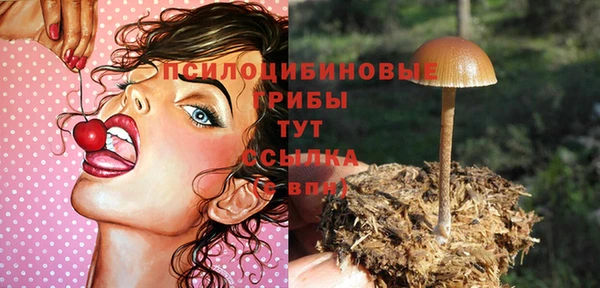 прущие крисы Богородицк