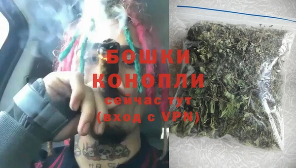 ECSTASY Богданович