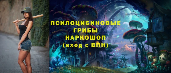 трава Бронницы