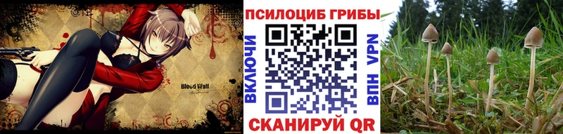 Псилоцибиновые грибы мицелий  Дмитриев 